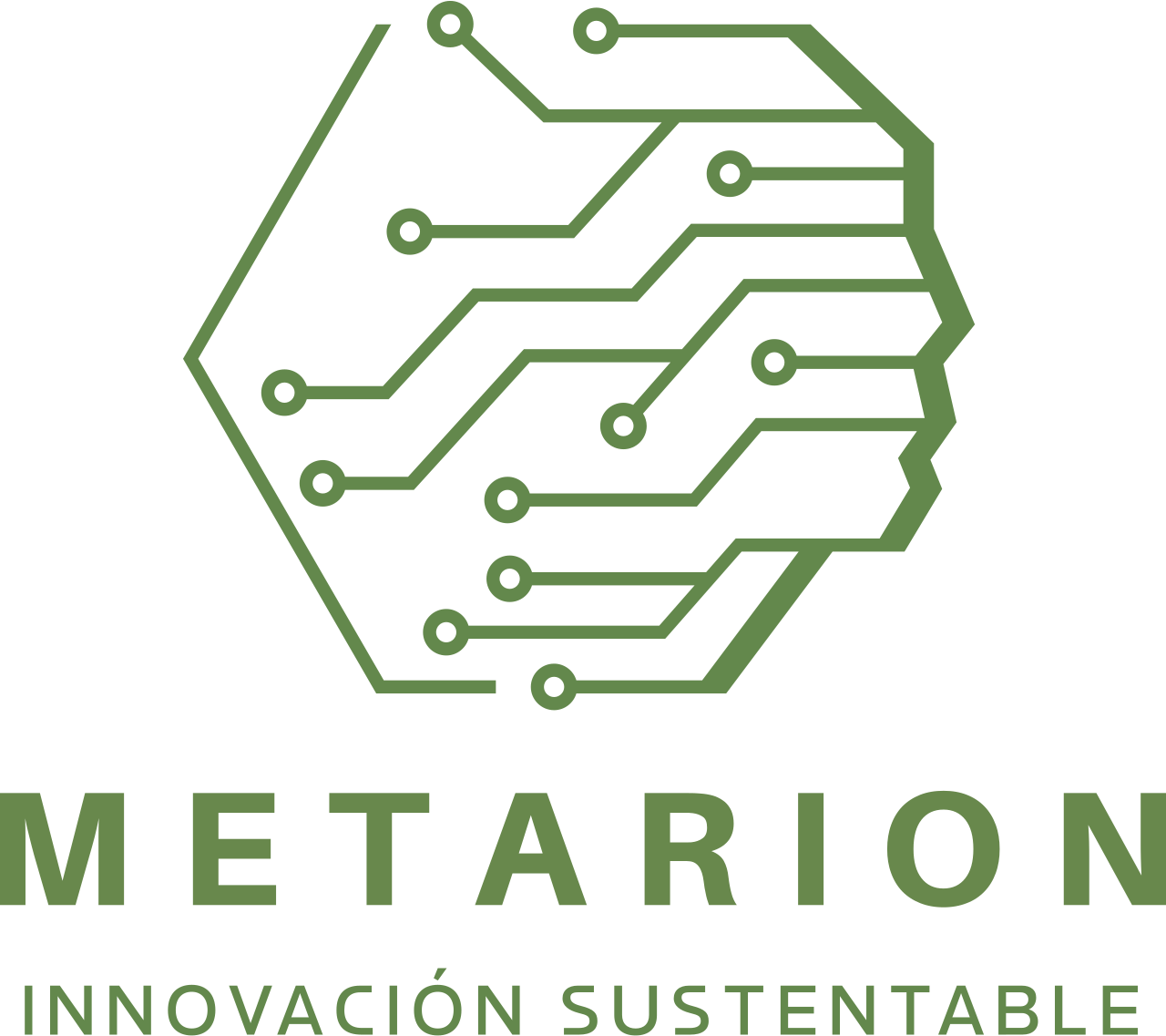 Metarion — Innovación Sustentable